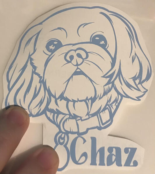 Chaz - Decal made